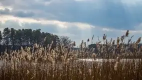 Ruciane Nida w marcowe popołudnie - zdjęcie 45