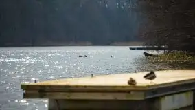 Ruciane Nida w marcowe popołudnie - zdjęcie 34