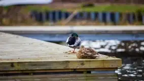 Ruciane Nida w marcowe popołudnie - zdjęcie 33