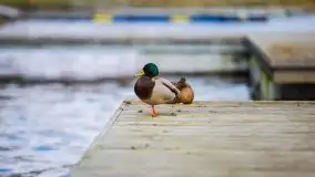 Ruciane Nida w marcowe popołudnie - zdjęcie 31