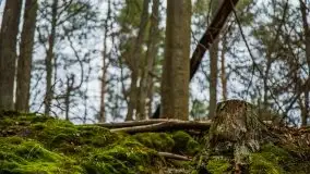 Ruciane Nida w marcowe popołudnie - zdjęcie 7