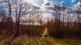 Marcowe kolory Nowych Gutów i jeziora Śniardwy - zdjęcie 80