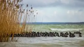 Marcowe kolory Nowych Gutów i jeziora Śniardwy - zdjęcie 43