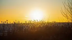 Marcowe kolory Nowych Gutów i jeziora Śniardwy - zdjęcie 9