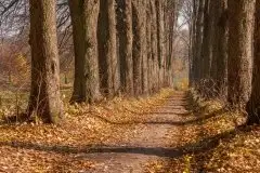 Zdjęcia: Mazurskie pejzaże na zdjęciach Janka Olchówki cz. II - zdjęcie 39