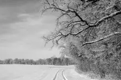 Zdjęcia: Mazurskie pejzaże na zdjęciach Janka Olchówki cz. II - zdjęcie 36