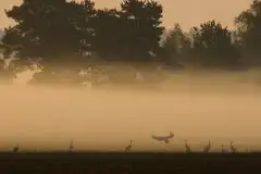 Zdjęcia: Mazurskie pejzaże na zdjęciach Janka Olchówki cz. II - zdjęcie 12