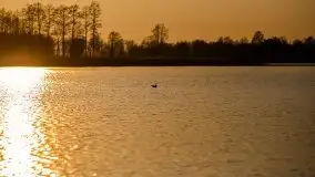 Jezioro Stręgiel skąpane w złocie zachodu słońca - zdjęcie 6