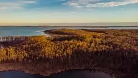 Okolice mostu Sztynorckiego, marzec 2020 - zdjęcie 35