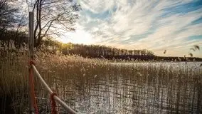 Okolice mostu Sztynorckiego, marzec 2020 - zdjęcie 14