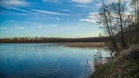 Okolice mostu Sztynorckiego, marzec 2020 - zdjęcie 9