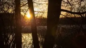 Okolice mostu Sztynorckiego, marzec 2020 - zdjęcie 30