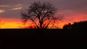 Okolice mostu Sztynorckiego, marzec 2020 - zdjęcie 23