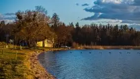 Złote Ogonki i jezioro Święcajty pierwszego dnia wiosny 2020 - zdjęcie 53