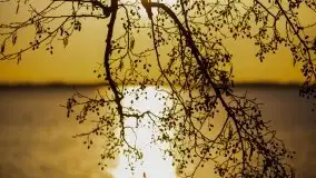 Złote Ogonki i jezioro Święcajty pierwszego dnia wiosny 2020 - zdjęcie 48