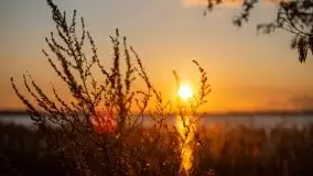 Złote Ogonki i jezioro Święcajty pierwszego dnia wiosny 2020 - zdjęcie 42