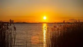 Złote Ogonki i jezioro Święcajty pierwszego dnia wiosny 2020 - zdjęcie 41