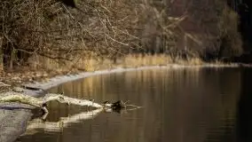 Marcowy zachód słońca nad jeziorem Dargin, Nowy Harsz - zdjęcie 53