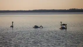 Marcowy zachód słońca nad jeziorem Dargin, Nowy Harsz - zdjęcie 49