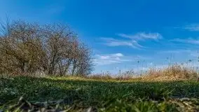 Jezioro Białoławki w marcowym słońcu - zdjęcie 15