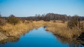 Jezioro Białoławki w marcowym słońcu - zdjęcie 16