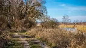 Jezioro Białoławki w marcowym słońcu - zdjęcie 20