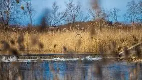 Jezioro Białoławki w marcowym słońcu - zdjęcie 29