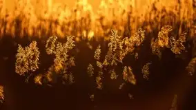 Kal i jezioro Mamry w marcowym słońcu - zdjęcie 3