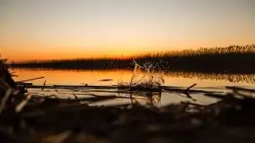 Kal i jezioro Mamry w marcowym słońcu - zdjęcie 47