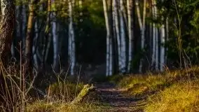 Jezioro Wesołek w marcu 2020 - zdjęcie 20