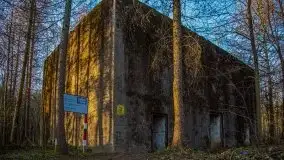 Mamerki i okolice pod koniec marca 2020 - zdjęcie 20