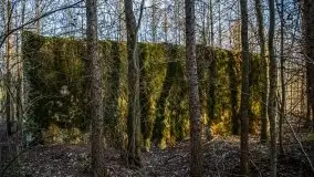 Mamerki i okolice pod koniec marca 2020 - zdjęcie 10