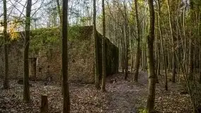 Mamerki i okolice pod koniec marca 2020 - zdjęcie 29