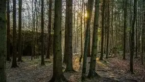 Mamerki i okolice pod koniec marca 2020 - zdjęcie 34