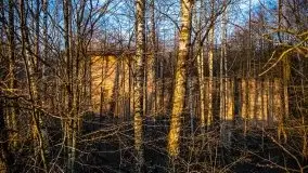 Śluza w Leśniewie w kolorach zachodzącego słońca - zdjęcie 32