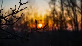 Śluza w Leśniewie w kolorach zachodzącego słońca - zdjęcie 30