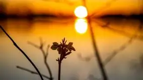 Wschód nad jeziorem Stręgielek, marzec 2020 - zdjęcie 16