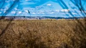 Kanał Szymoński w marcu 2020 - zdjęcie 11