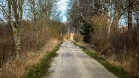 Kanał Szymoński w marcu 2020 - zdjęcie 10