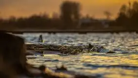 Tło Dla Mew i Marina Rydzewo w kolorach zachodu słońca - zdjęcie 24