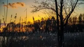 Jezioro Tałtowisko i kanał Grunwaldzki o zachodzie słońca - zdjęcie 9