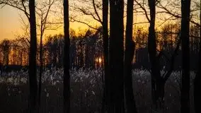 Jezioro Tałtowisko i kanał Grunwaldzki o zachodzie słońca - zdjęcie 17