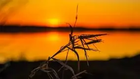 Pierkunowo i jezioro Kisajno w kwietniowym słońcu - zdjęcie 50