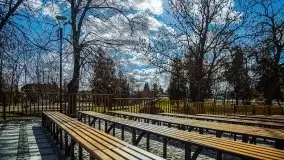 Pisz w kwietniowych promieniach słońca - zdjęcie 50