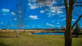 Pisz w kwietniowych promieniach słońca - zdjęcie 4