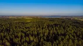 Odkrywamy na Mazurach jezioro Gawlik i Sołtmany - zdjęcie 11