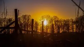 Odkrywamy na Mazurach jezioro Gawlik i Sołtmany - zdjęcie 20