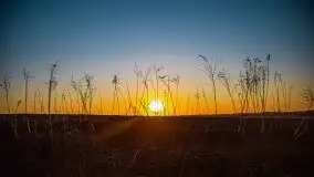 Odkrywamy na Mazurach jezioro Gawlik i Sołtmany - zdjęcie 32