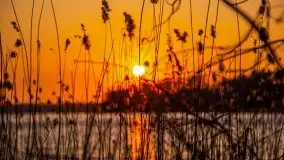 Złote jezioro Dejguny w kwietniowym słońcu - zdjęcie 58