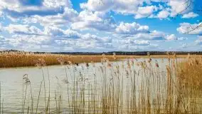 Śluza Karwik na początku kwietnia 2020 - zdjęcie 27